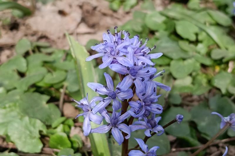 OPPO A6 Pro 5G - Mostre zi: Mostre-zi_ (26).jpg