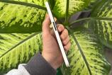 Nothing-Phone-3a-Lite-Design_061.jpg