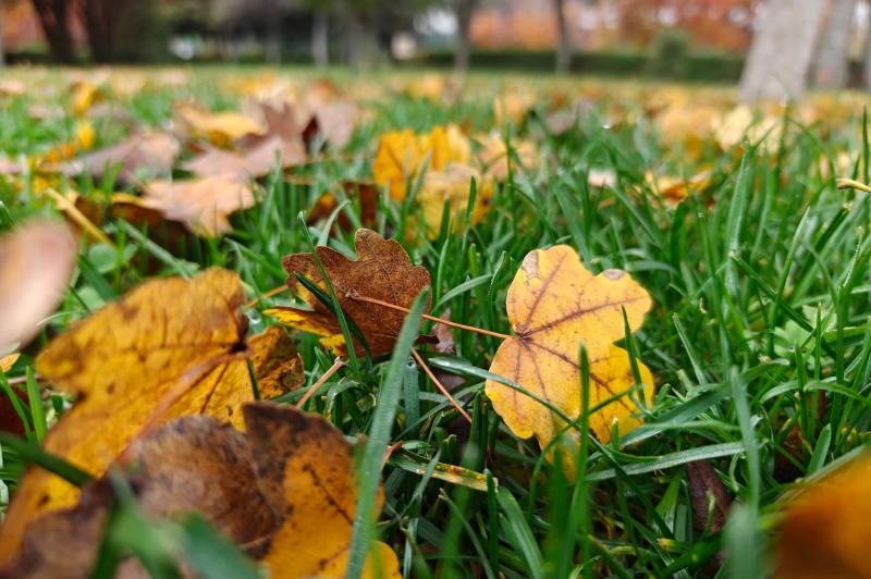 OnePlus 15 - Mostre zi: OnePlus-15-Mostre-Zi_054.jpg