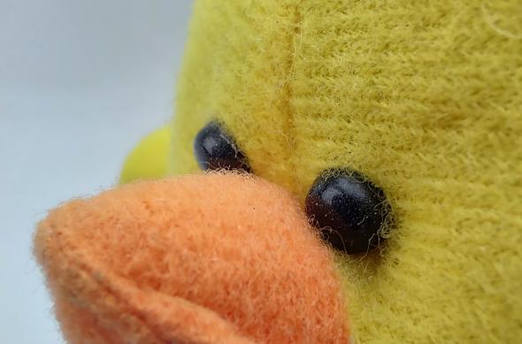 Motorola Moto G100 - Mostre foto (macro): IMG_20210328_203844007_HDR.jpg