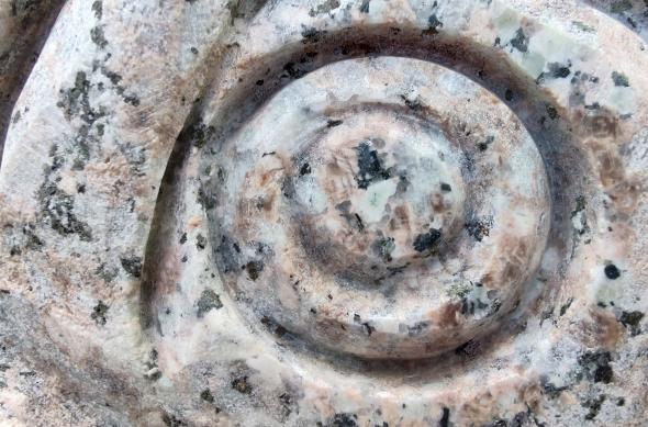 Motorola Moto G100 - Mostre foto (macro): IMG_20210330_154548334_HDR.jpg