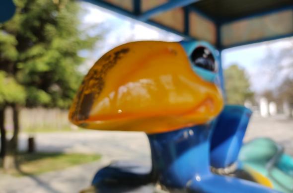 Motorola Moto G100 - Mostre foto (macro): IMG_20210330_154828081.jpg