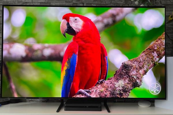 Samsung 55S90C - Culori (zi)