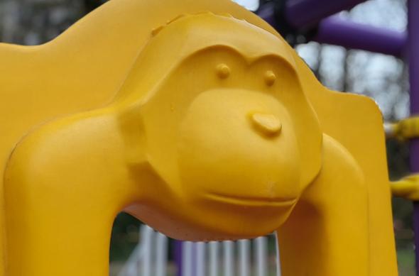 HONOR 600 Lite - Mostre foto (ziua): IMG_20260331_130819.jpg