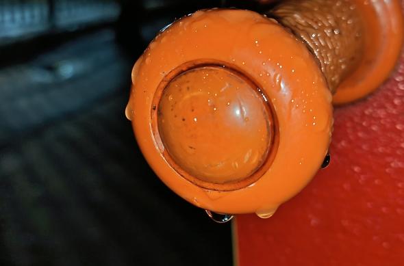 HONOR 600 Lite - Mostre foto (seara): IMG_20260331_021848.jpg