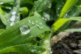 Honor-Magic-V5-Mostre-macro_018.jpg