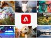 Editarea video se schimbă pe vecie cu noul Adobe Firefly Text to Video