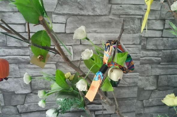 Huawei MatePad 12 X PaperMatte (2025) - Mostre foto: Camera (16).jpg