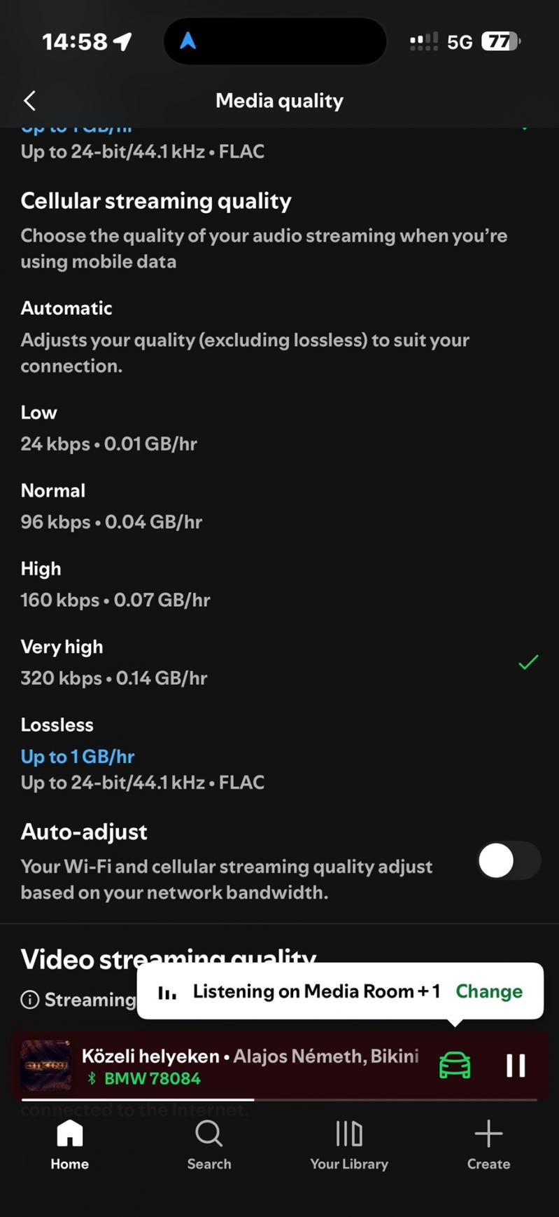 Spotify Lossless în România: IMG_0030.jpg