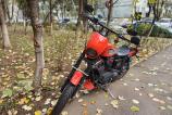 OPPO-Find-X8-Pro-Mostre-Bokeh_001.jpg