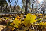 OPPO-Find-X8-Pro-Mostre-culori_009.jpg