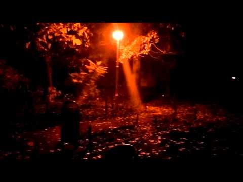 ASUS Zenfone Selfie mostră video low light Full HD, 30 FPS II. - Mobilissimo.ro