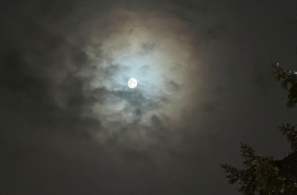 iPhone 17 Pro Max - Mostre noapte: iPhone-17-Pro-Max-Mostre-Noapte_009.jpg