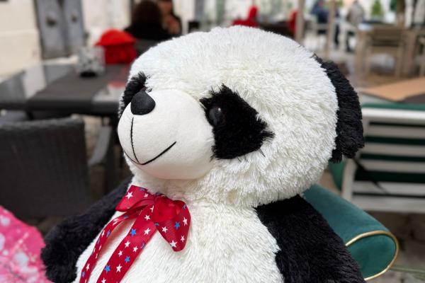 iPhone 17 Pro Max - Mostre bokeh