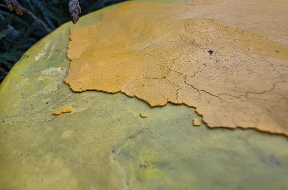 Samsung Galaxy S26 Ultra - Mostre macro: Mostre-macro_ (10).jpg