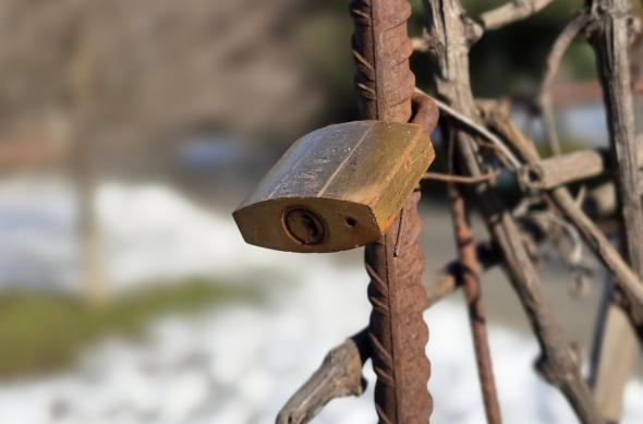 Samsung Galaxy S26 Ultra - Mostre bokeh: Bokeh_ (7).jpg