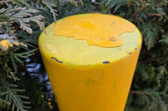 Samsung Galaxy S26 Ultra - Mostre closeup: Closeup_ (4).jpg