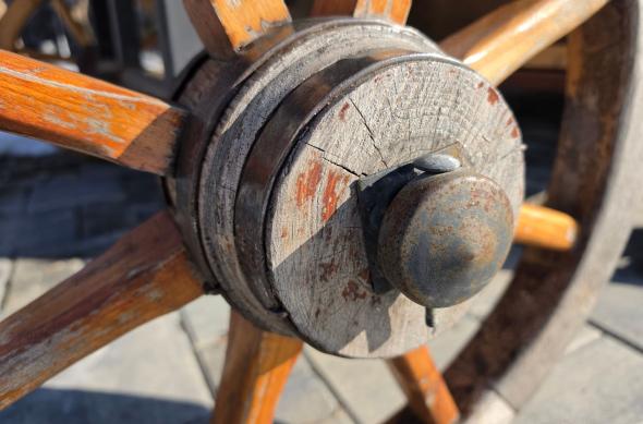 Samsung Galaxy S26 Ultra - Mostre closeup: Closeup_ (2).jpg