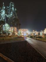IMG_20241221_202948813.jpg