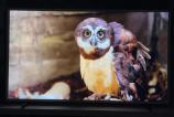 Samsung-The-Frame-65_037.jpg