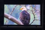 Samsung-The-Frame-65_020.jpg