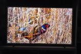 Samsung-The-Frame-65_021.jpg