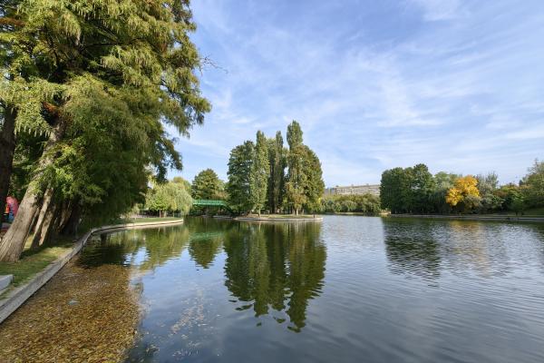 Huawei Mate 50 Pro - Mostre Foto (ziua)