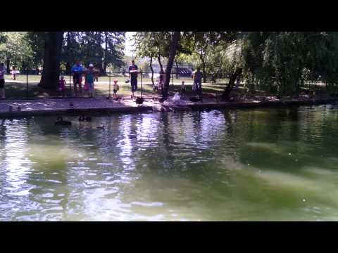 Acer Iconia Tab A510 video sample - Mobilissimo.ro