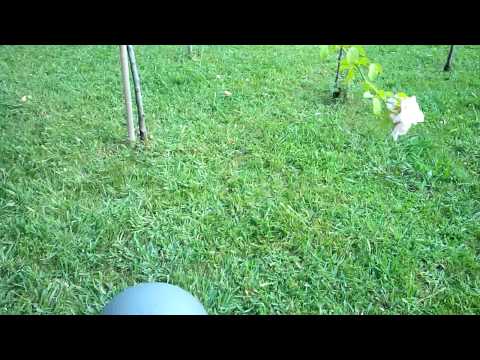 E-Boda Eruption V200 Quad Core video sample II. - Mobilissimo.ro