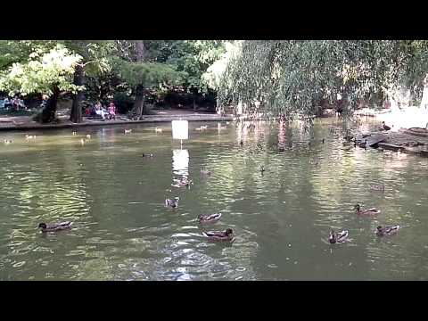 E-Boda V100 Storm Dual Core video sample II. - Mobilissimo.ro