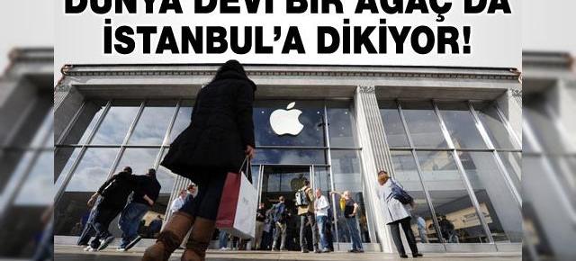 Apple Store unic construit la Istanbul! Vrem și În România!