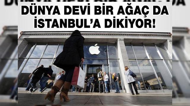<b>Apple Store unic construit la Istanbul! Vrem și În România!</b>CEO-ul Apple, Tim Cook a confirmat că un nou Apple Store cu design unic va fi construit la Istanbul. Vestea vine după ce oficialul companiei din Cupertino s-a întâlnit cu președintele turc, Abdullah Gul. &nbsp; Nouă structură a producătorului lui...