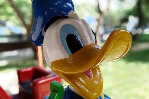 Huawei Y7 Prime (2018) - Mostre Foto (bokeh)