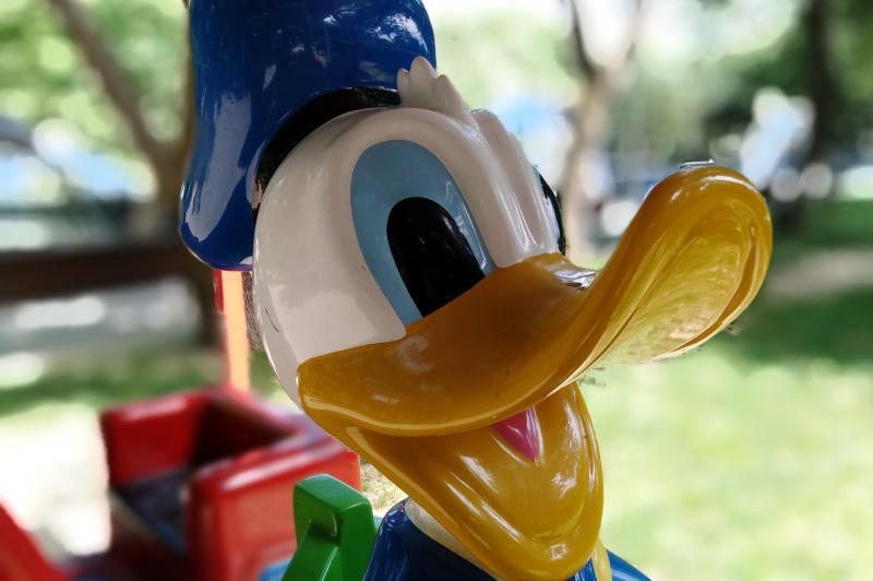 Huawei Y7 Prime (2018) - Mostre Foto (bokeh): IMG_20180717_144342.jpg