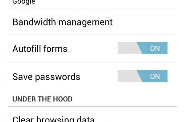 Chrome pentru Android disponibil pentru download!: chrome_android_04.jpg