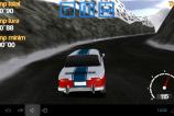 romanian_racing_07.jpg