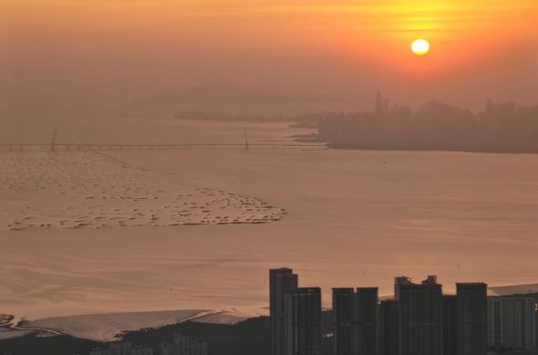 Honor Magic8 Pro - Mostre zoom: Honor-Magic8-Pro-Mostre-Zoom_003.jpg