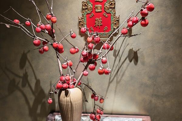 Honor Magic8 Pro - Mostre foto (Interior)