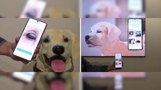 Verifică sănătatea animalului tău de companie cu o singură fotografie; Samsung a lansat un sistem AI veterinar