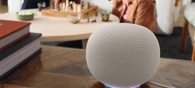 Noua boxă Google are probleme cu designul; Ce e în neregulă cu Google Home Speaker?
