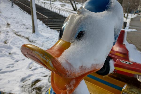 Motorola Moto G30 - Mostre Foto (ziua)