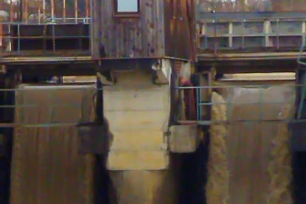 POCO M3 - Mostre Foto (ziua)