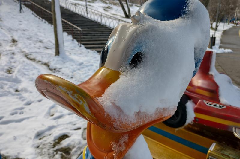 Motorola Moto G30 - Mostre Foto (ziua): IMG_20210311_150052942_HDR.jpg