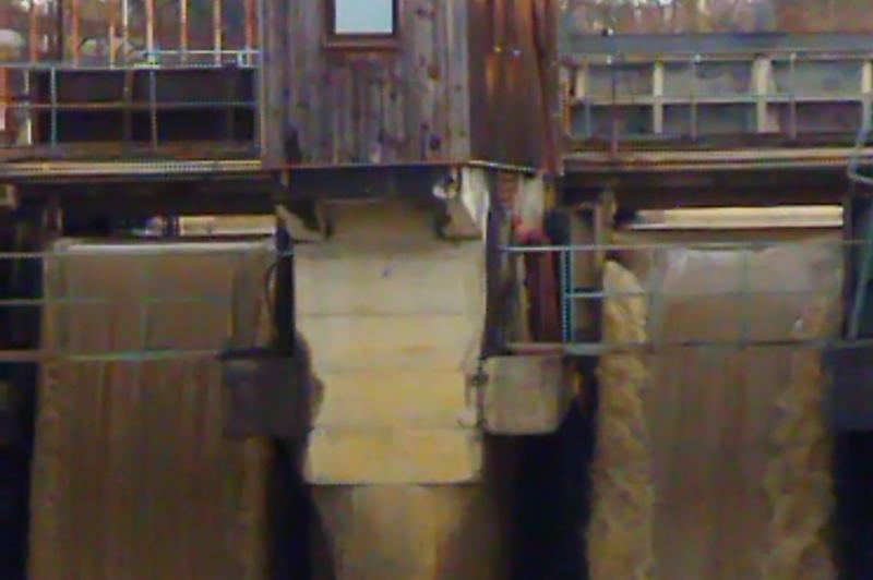 POCO M3 - Mostre Foto (ziua): IMG_20210107_144414.jpg