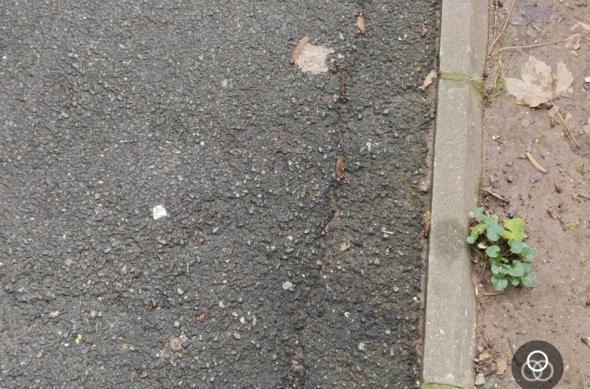 realme GT 8 Pro - Screenshots Camera: Screenshots (16).jpg