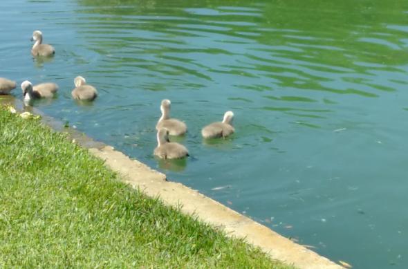 Fairphone 2 - Mostre Foto (ziua): IMG_20170523_083638.jpg