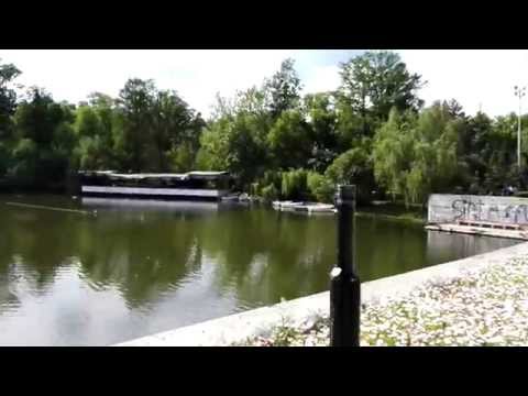 Huawei P8 video sample, testing auto focus (FHD, 1920x1080, 30FPS) - Mobilissimo.ro