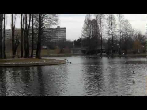 ZTE Grand X IN video sample II. - Mobilissimo.ro