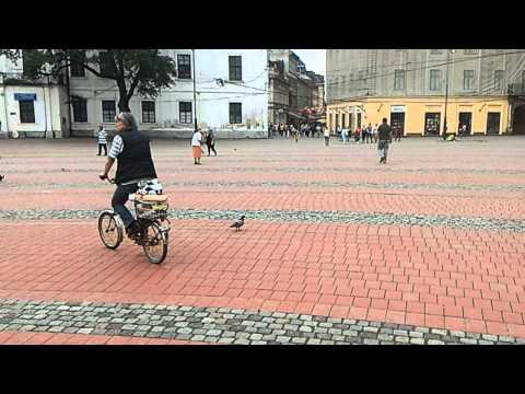 Asus Zenfone 2 4GB (ZE551ML) video sample with image stabilisation (Full HD, 1920x1080px, 30FPS)