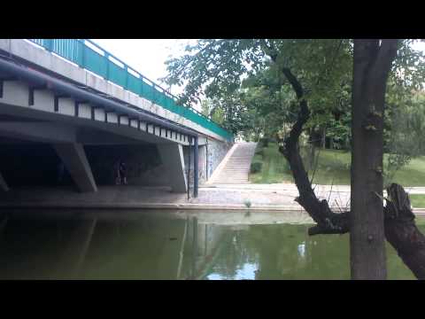 Allview P6 Qmax video sample I. (Full HD, 1920x1088, 30 FPS) - Mobilissimo.ro
